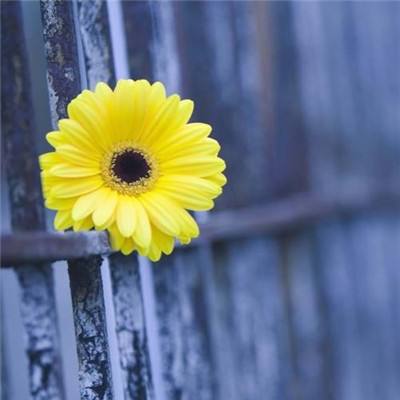 安博体育app官方下载入口